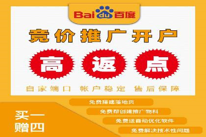 SEM广告投放的精准定位与优化案例